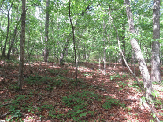 0 RIVER BLUFF ROAD # LOT 35, CLEVELAND, SC 29635, photo 5 of 20