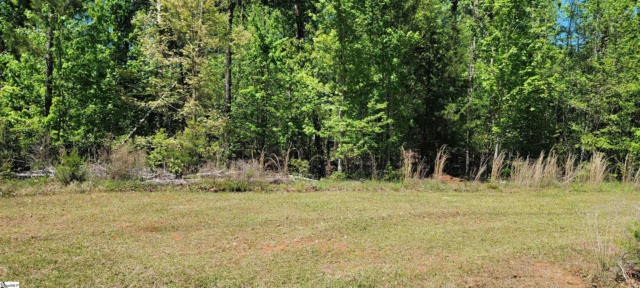 00 PALMER LN & NICKLAUS ROAD, WESTMINSTER, SC 29693, photo 2 of 19