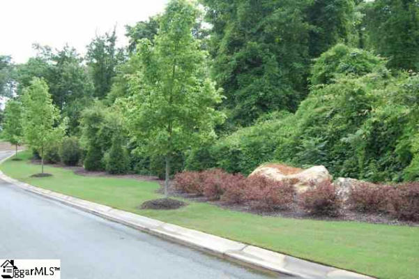 10 DOLCE VITA CT LOT 280, GREENVILLE, SC 29609, photo 2 of 33