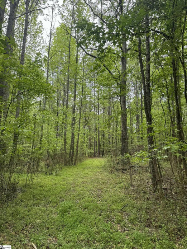 TRACT 6 GRIFFIN MILL ROAD, PICKENS, SC 29671, photo 1 of 17