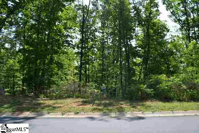 10 DOLCE VITA CT LOT 280, GREENVILLE, SC 29609, photo 1 of 33