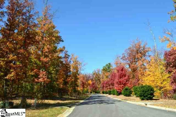 10 DOLCE VITA CT LOT 280, GREENVILLE, SC 29609, photo 3 of 33