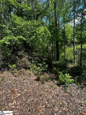 00 OLD ROCKHOUSE ROAD # LOT 47, GREENVILLE, SC 29609, photo 2 of 8