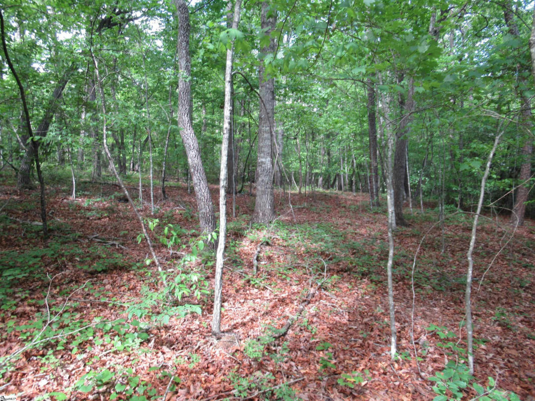 0 RIVER BLUFF ROAD # LOT 35, CLEVELAND, SC 29635, photo 1 of 20