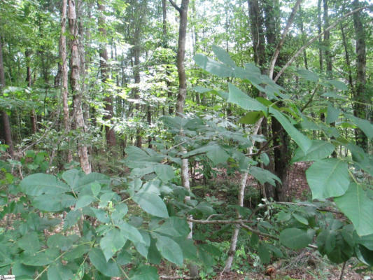 000 BONNER ROAD, MOUNTAIN REST, SC 29664, photo 2 of 3