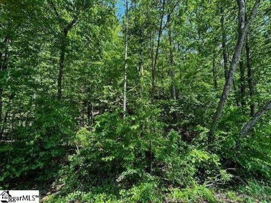 0 OLD ROCKHOUSE ROAD # LOT 46, GREENVILLE, SC 29609, photo 4 of 7