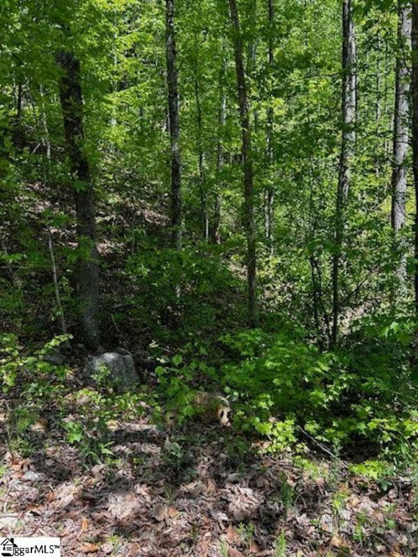 000 ROCKHOUSE ROAD # LOT 48, GREENVILLE, SC 29609, photo 1 of 6