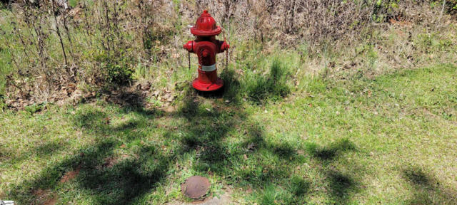 00 PALMER LN & NICKLAUS ROAD, WESTMINSTER, SC 29693, photo 3 of 19