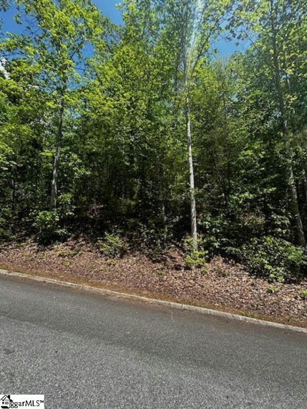 00 OLD ROCKHOUSE ROAD # LOT 47, GREENVILLE, SC 29609, photo 1 of 8