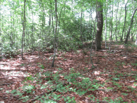 0 RIVER BLUFF ROAD # LOT 35, CLEVELAND, SC 29635, photo 4 of 20